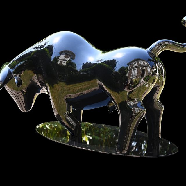 Taureau de combat. Bronze laqué miroir. (80x130x80)