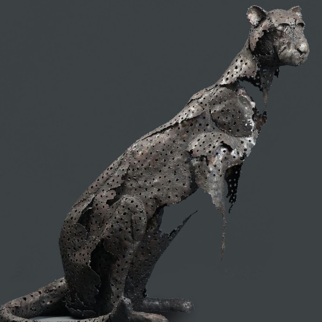 Le Guépard