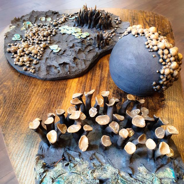 Les paysages japonais (Raku)